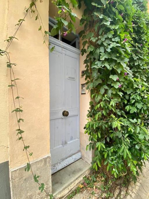 Click! Casa Lamartine Fabulous Ideal Location Walk To All!!! Cassis Dış mekan fotoğraf